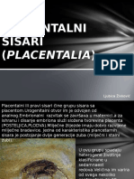 Placentalni Sisari