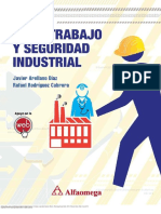 Salud en El Trabajo y Seguridad Industrial