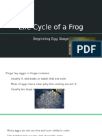 Instructional Unit On Frogs