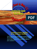 Gonzalez GuiaResidencias 1a Diapositivas Area 04 Complicaciones Agudas Diabetes Mellitus