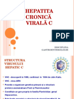 Curs Berliba HCV 2014
