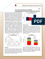 Coy 300 - Efectos de la caída de precios en Bolivia.pdf