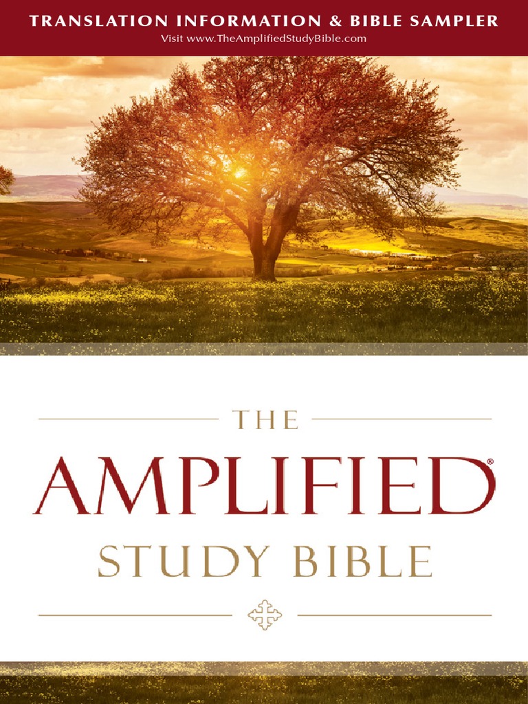 Amplified Study Bible Sampler John The Baptist Biblical Magi