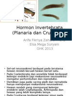 Invertebrata (Planaria Dan Crustacea)
