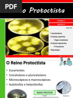 Reino protista