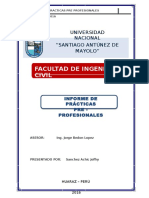 Informe de Practicas Pre Profesionales3