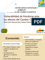 15 VulnerabilidadHonduras 2.pdf