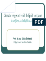 Gradja Vegetativnih Biljnih Organa