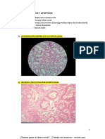 W-Examen de Microscopios - Cuaderno de Imágenes PDF