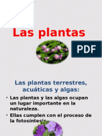 Las Plantas AcuyAticas 5