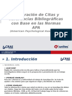 Normas Apa (1)