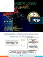 Seminario 1 Final