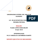 Reporte ejecutivo.docx