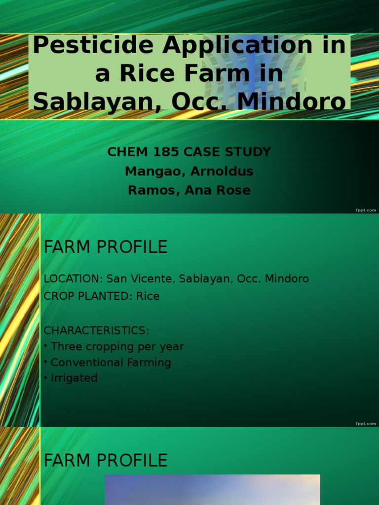 Pesticide Use in Rice Farming: Sablayan | PDF | Herbicide | Weed
