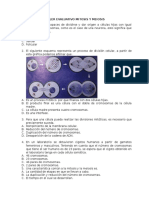 Taller Evaluativo Mitosis y Meiosis