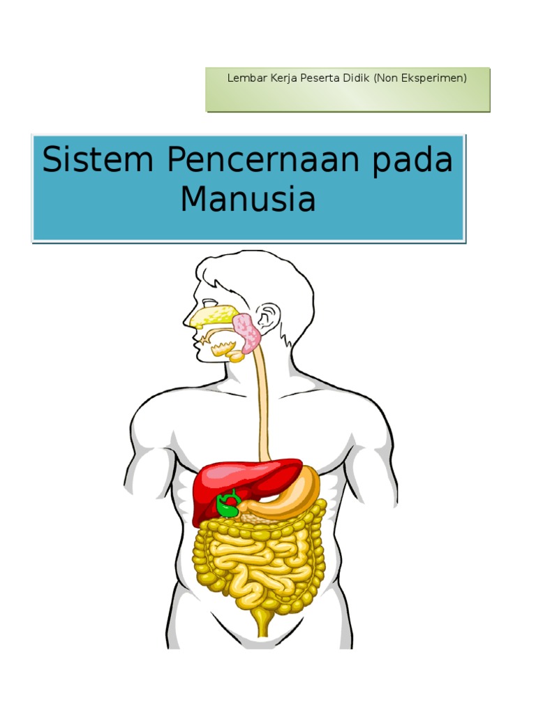 Lkpd Sistem Pencernaan Pada Manusia Imagesee - Riset