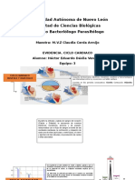 Evidencia de Ciclo Cardiaco