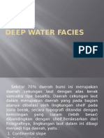 Deep Water Facies