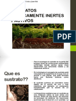 Sustrato1 PDF