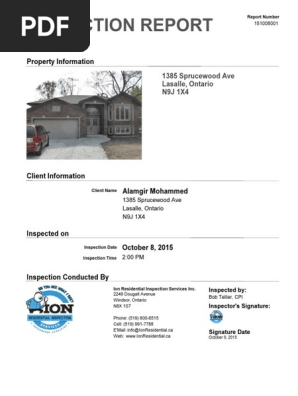 Inspection Report 
