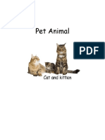 Pet Animal