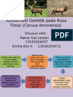Konservasi Genetik Rusa (Ratna & Emil)