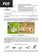 Download RANTAI MAKANANpdf by Eko Scholes SN313006245 doc pdf