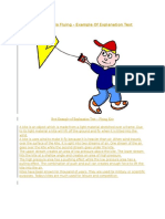 How A Kite Is Flying - Example of Explanation Text