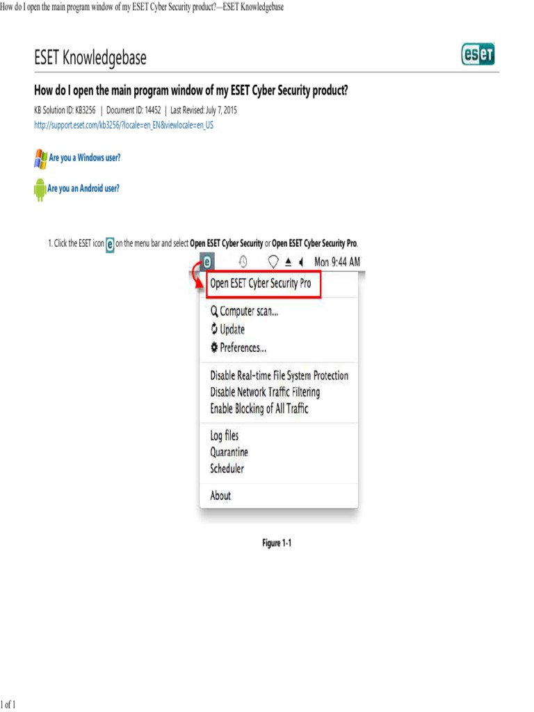 Open ESET Cyber Security Program Window | PDF