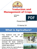 Food Production and Management of Crops: Presented by R Hema Sri
