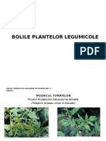 Bolile Plantelor Legumicole - Prezentare