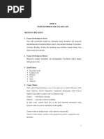 Download Nurseing English 1 Materi Nurse by Rismala Pramuditha SN313029363 doc pdf
