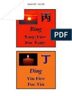 Yang Fire - Yin Fire