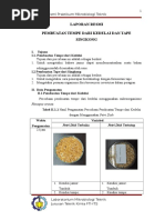Download Lapres Tempe by Ayu Widya SN313035482 doc pdf