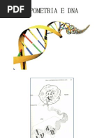 Dna e Apometria