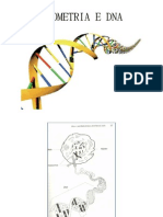 Dna e Apometria