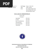 Download Laporan Praktikum Ke 11 Nekropsi Ikan by ZulUlfa SN313042821 doc pdf