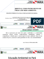 A Educação Ambiental Como Instrumento de Gestão Pública de Meio Ambiente PDF