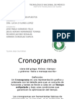 Cronograma y Presuestos