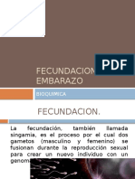 Fecundacion y Embarazo