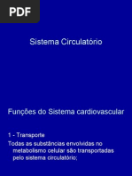 Sistema Circulatório