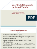Functions of Distal Segments of The Renal Tubule