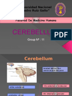 Cerebellum: Universidad Nacional "Pedro Ruiz Gallo" Facultad de Medicina Humana Facultad de Medicina Humana
