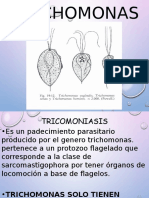 Trichomonas