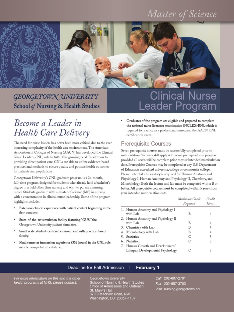 Nurse practitioner admission essay examples image