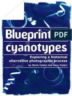 Blueprint to Cyanotypes 
