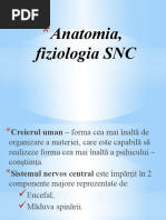 Anatomia, Fiziologia Sistemului Nervos Central