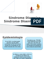 Síndrome Diarreico 