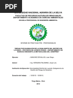RIESGO POR INUNDACIÓN DE LA ZONA NORTE DEL DISTRITO DE LUYANDO- PROVINCIA DE LEONCIO PRADO- DEPARTAMENTO DE HUÁNUCO MEDIANTE LA METODOLOGIA DEL CENEPRED.pdf
