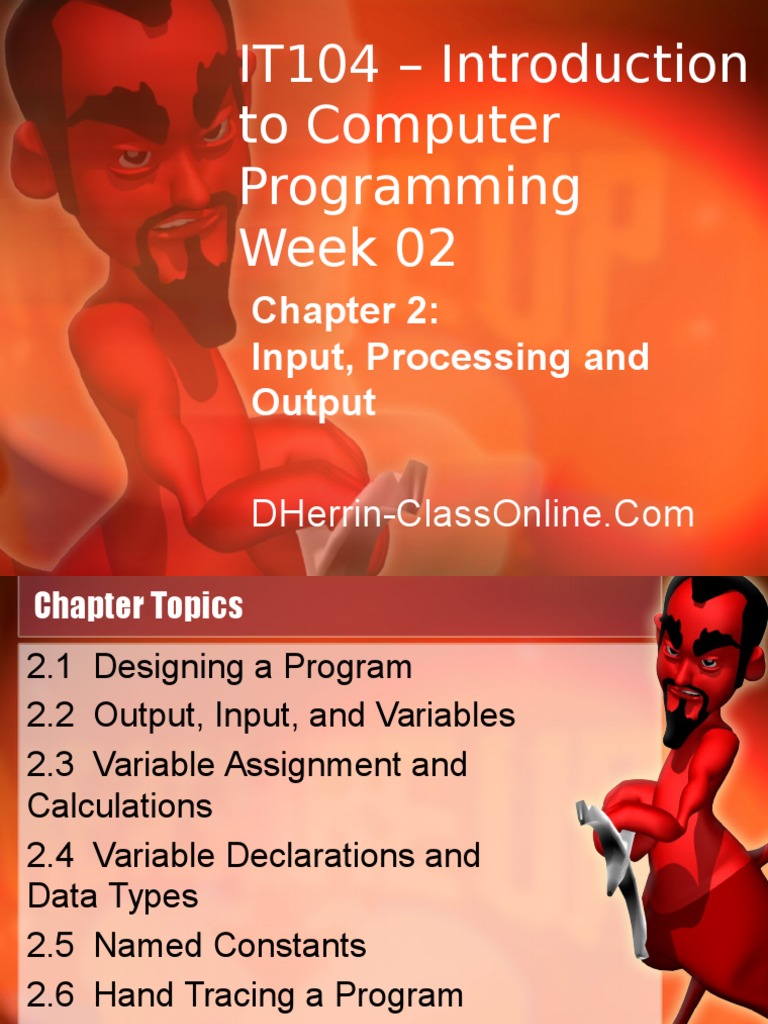 Computer Programming Basics: Input & Output | PDF